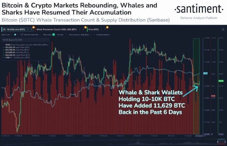 نهنگ‌ها و کوسه‌ها طی ۷ روز گذشته ۳۰۰میلیون دلار بیت کوین خریده‌اند بر اساس …