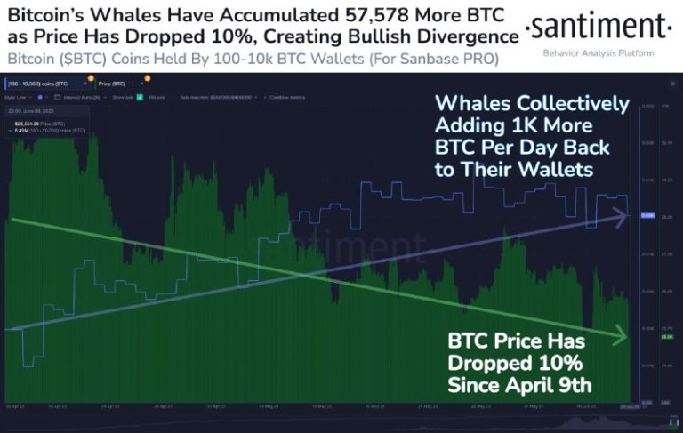 سنتیمنت: نهنگ‌ها در طول ۲ ماه گذشته، روزانه ۲۶میلیون دلار بیت کوین خریده‌ان…
