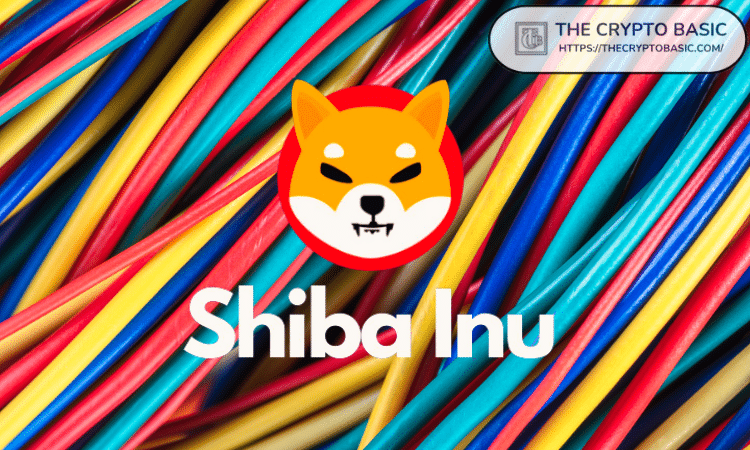 بهترین توسعه دهنده Shiba Inu پیشنهاد می کند که چیز هیجان انگیزی در راه است